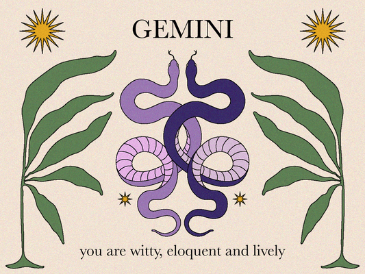 Gemini Sign