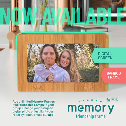 Digital Memory Friendship Frame