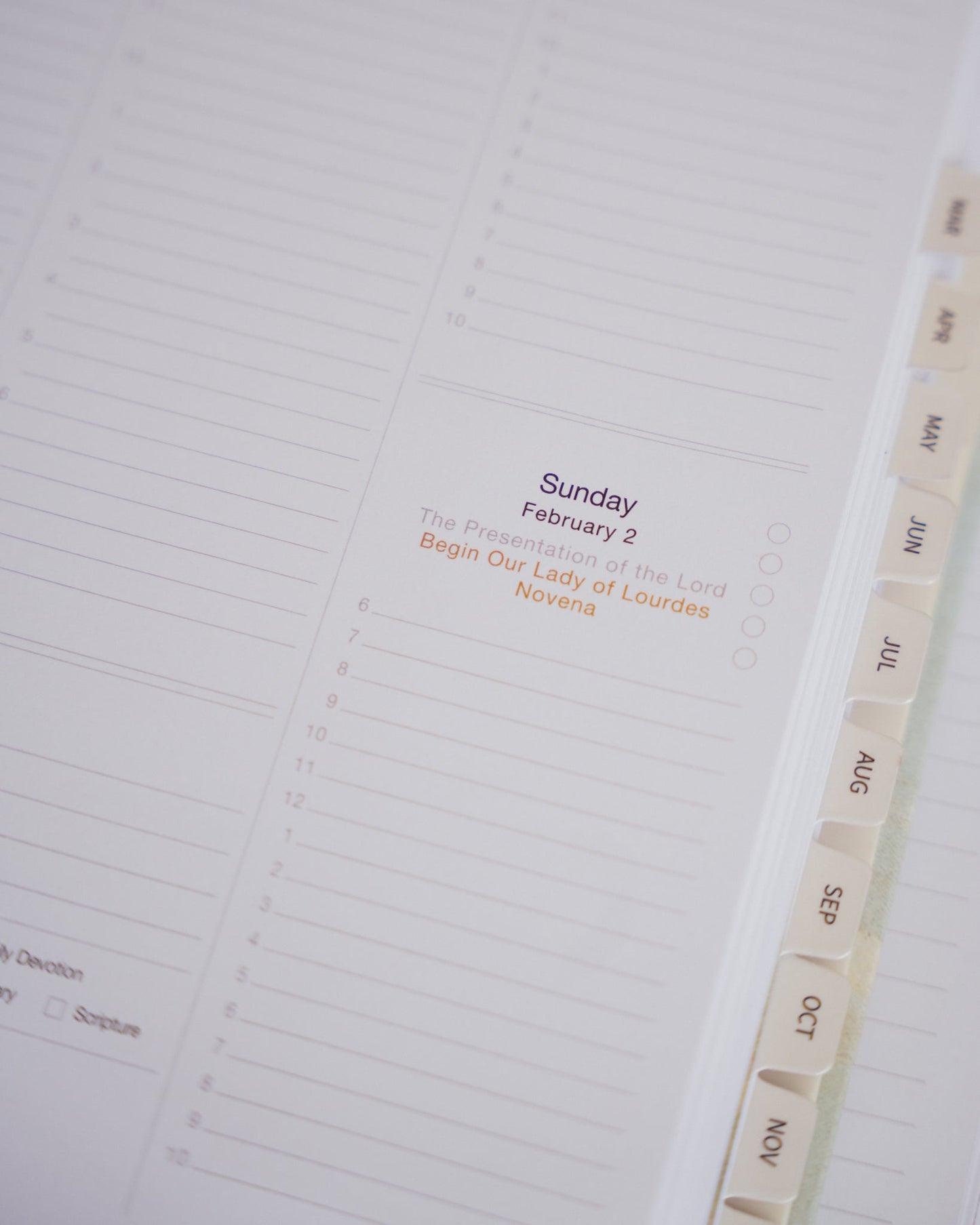 2025 Calendar Year Catholic Liturgical Planner // Big Layout